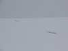 Widok z Bazy Glownej pod Vinsonem, 19 XII 2012, fot. Joe Brus