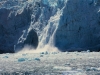Park Narodowy Kenai Fjords w południowej Alasce, 21 VI 2008