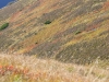 Tatry Zachodnie, 7 IX 2013 r.