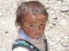 Tybetańczyk, 9.05.14, fot.B.Wroblewski
